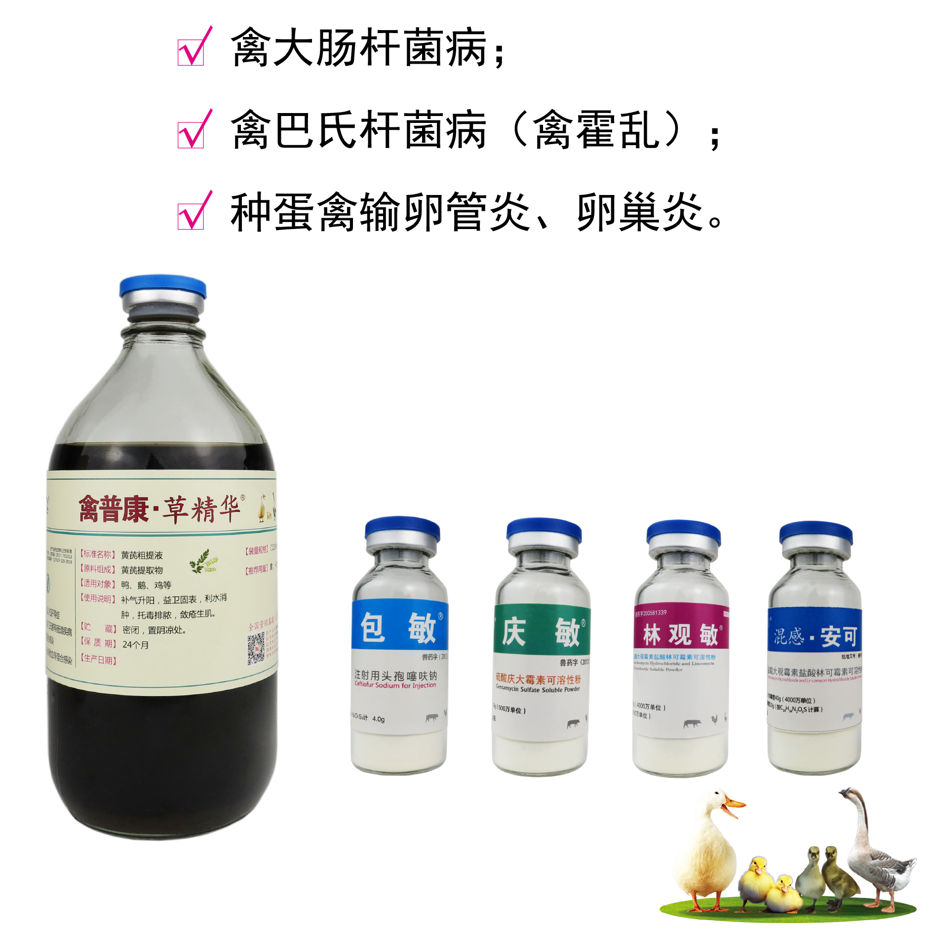 鸭巴氏杆菌病（鸭霍乱）/大肠杆菌病/卵巢炎-组合治疗包