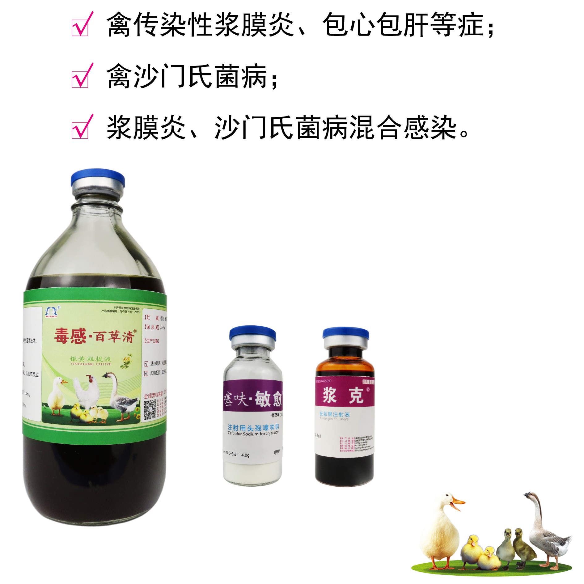 鸭鹅浆膜炎/大肠杆菌-组合治疗包12