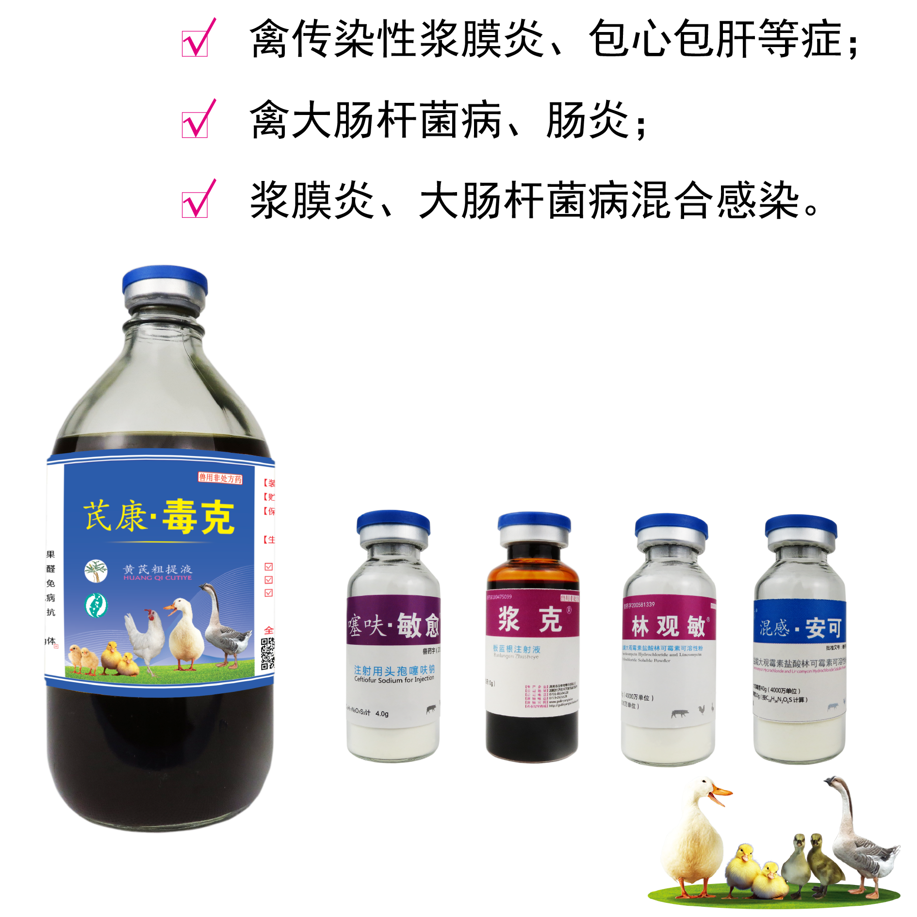 鸭鹅浆膜炎-组合治疗包17